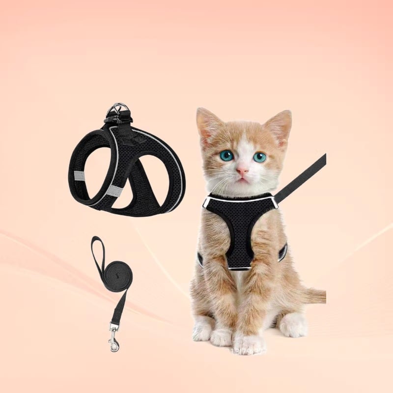 😺Geschirr und Leine für Katzen, um ein Entlaufen zu verhindern