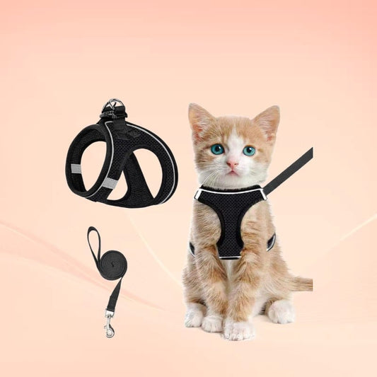 😺Geschirr und Leine für Katzen, um ein Entlaufen zu verhindern