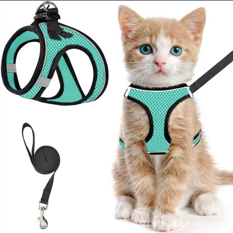 😺Geschirr und Leine für Katzen, um ein Entlaufen zu verhindern