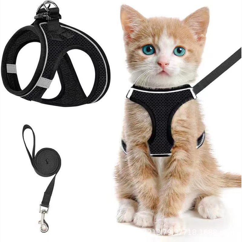 😺Geschirr und Leine für Katzen, um ein Entlaufen zu verhindern