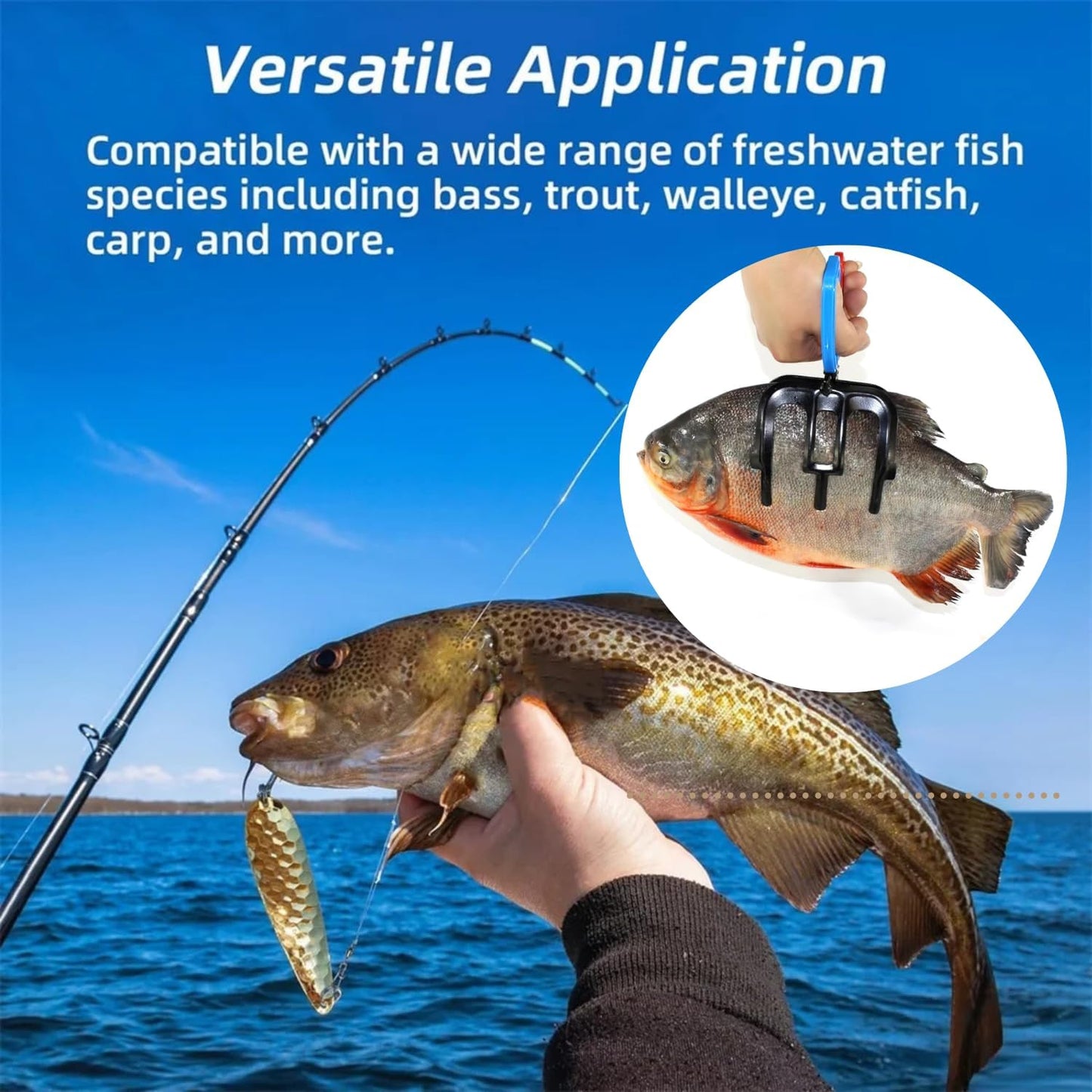 🐟Fischgreifer mit Klauen – Fischgreifer mit 2 oder 3 Klauen