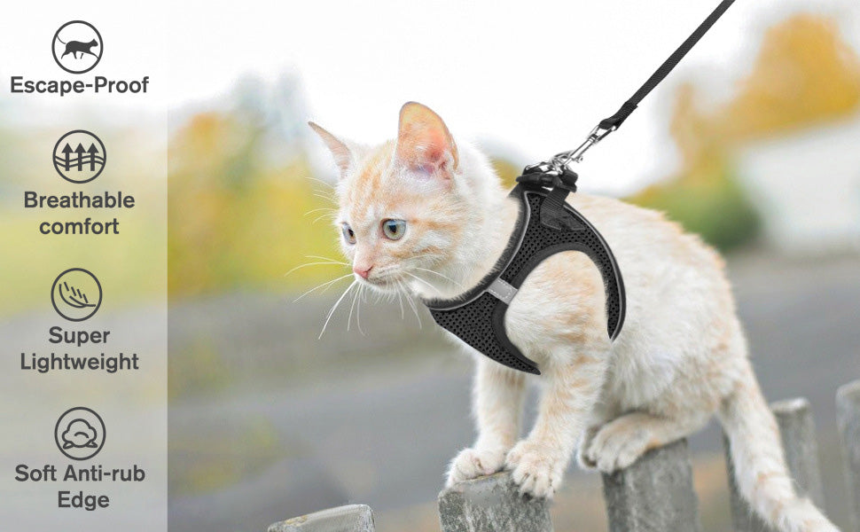 😺Geschirr und Leine für Katzen, um ein Entlaufen zu verhindern