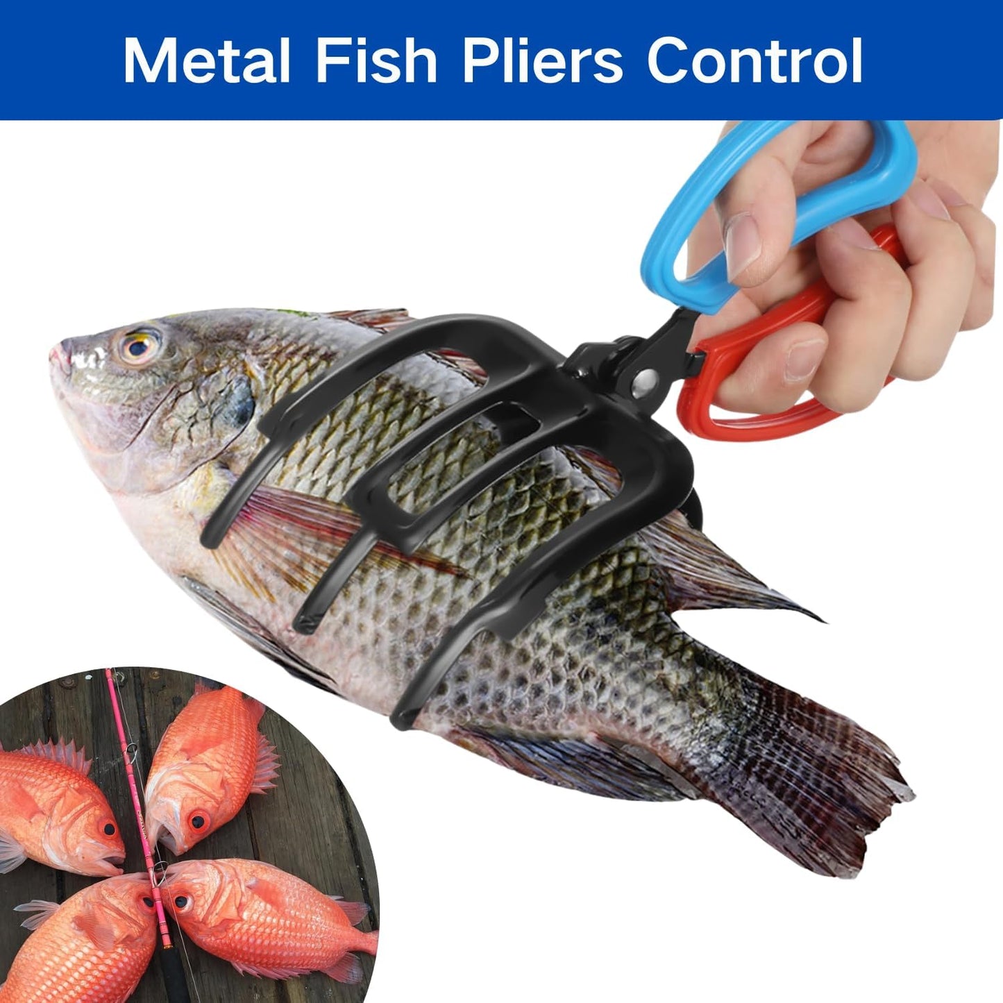 🐟Fischgreifer mit Klauen – Fischgreifer mit 2 oder 3 Klauen