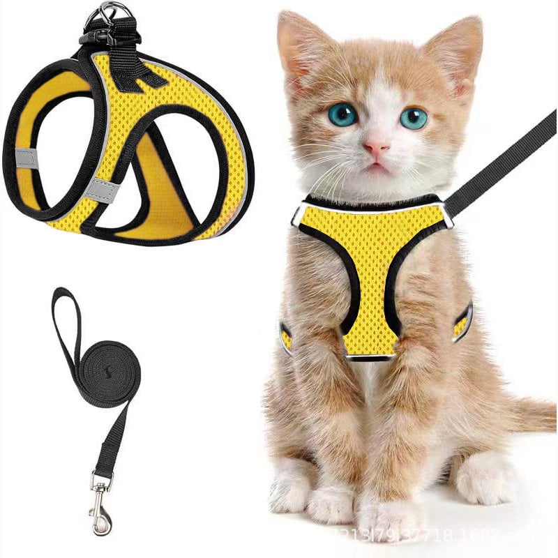 😺Geschirr und Leine für Katzen, um ein Entlaufen zu verhindern