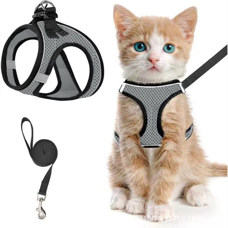 😺Geschirr und Leine für Katzen, um ein Entlaufen zu verhindern